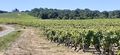 Coteau rochefort r20-30.jpg