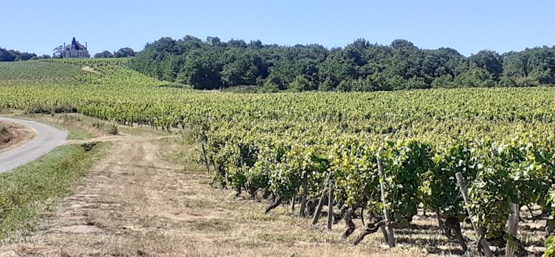 Fichier:Coteau rochefort r20-30.jpg
