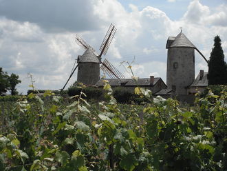 Photographie des moulins d'Ardenay.
