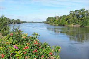 Photographie de la Loire.