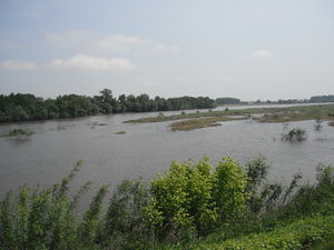 Photographie de la Loire à Chênehutte-Trèves-Cunault.