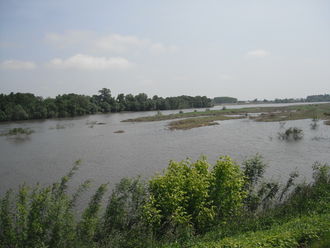 Photographie de la Loire à Chênehutte-Trèves-Cunault.