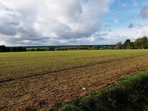 Photographie d'un paysage entre Le Lion-d'Angers et Montreuil-sur-Maine.