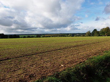 Photographie d'un paysage sur la route entre Le Lion-d'Angers et Montreuil-sur-Maine.