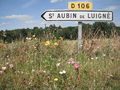Saintaubindeluigne panneau-2012a.jpg