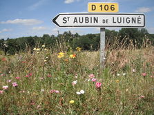 Saint-Aubin-de-Luigné en photos