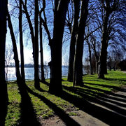 Saintegemmessurloire 2013a.jpg