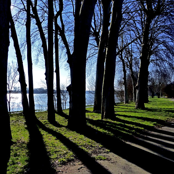 Fichier:Saintegemmessurloire 2013a.jpg