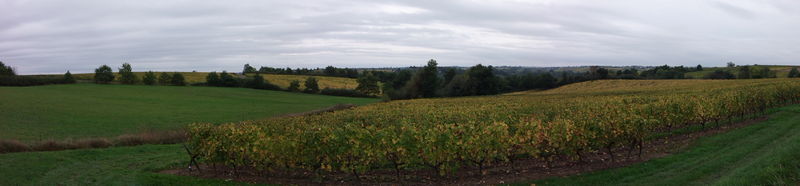 Panorama de Maine-et-Loire.