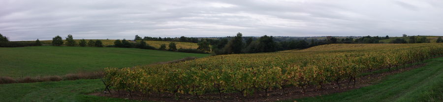Photographie d'un panorama