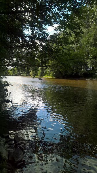 Fichier:Saintaubindeluigne port paty 2017 4536.jpg