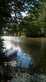 Saintaubindeluigne port paty 2017 4536.jpg