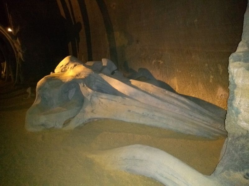 Fichier:Douelafontaine site perrieres 2020 354.jpg