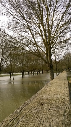 Photographie du parc balzac.