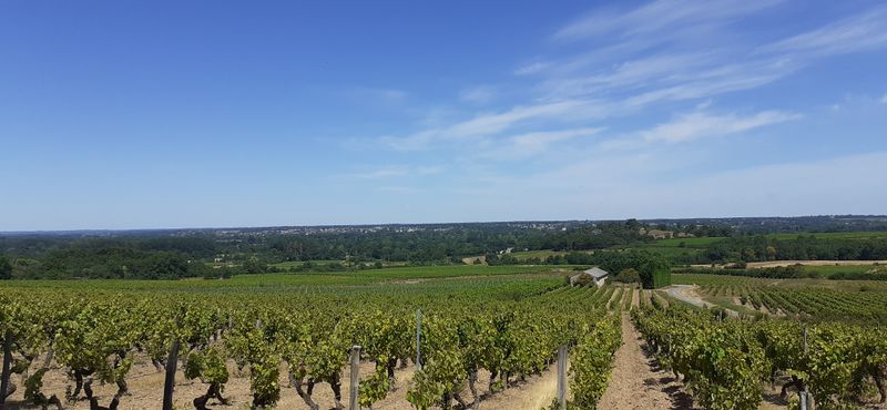 Fichier:Vallee loire rochefort r20-34.jpg