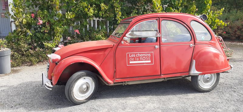 Fichier:Cheminsrose 095425.jpg