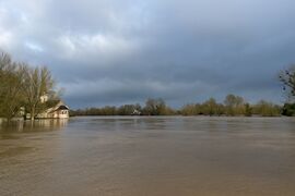 Chalonnes 20260219 04.jpg