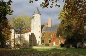 Photographie du château de Treillebois.