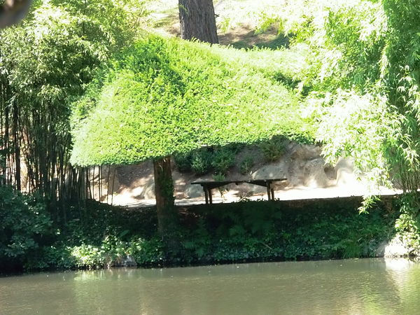 Photographie Parc oriental de Maulévrier.