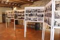 Saintlambertdulattay musee vigne 2024-0793.JPG