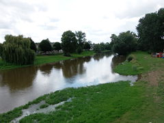 Rochefortsurloire louet -2014d.jpg