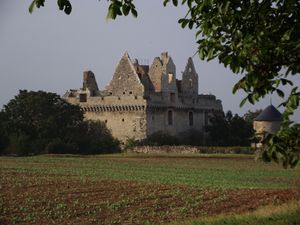 Photographie du château du Grand-Riou.