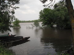Bateau thoureil 2013 a.jpg
