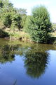 Layon saintaubindeluigne - 2017 2345.jpg