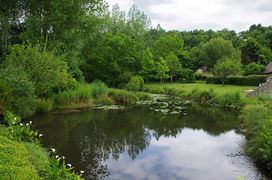 Photographie à Mouliherne.