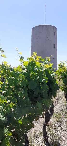 Fichier:Moulin guerin saintaubin r20-43.jpg