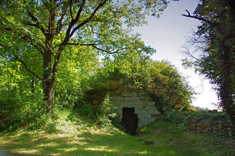 Fichier:Chenehutte moulin cavier-2014a.jpg