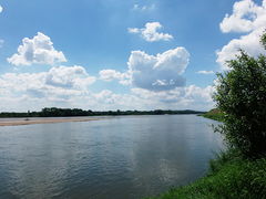 Loire saintmathurinsurloire levee 2014d.jpg