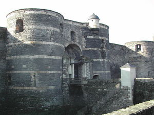 Photographie du château d'Angers.