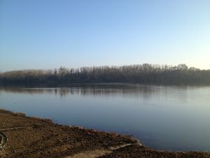 Photographie de la Loire à La Daguenière.