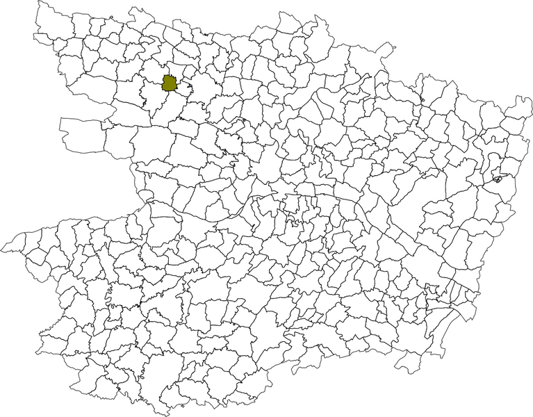 Fichier:Carte situation commune marans.png