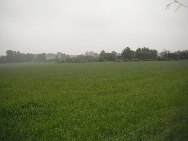 Fichier:Contigne campagne-2012a.jpg