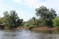 Loire chalonnes montjean 2024-0695.JPG