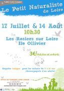 Affiche rosierssurloire Le petit naturaliste de Loire 2015.jpg