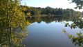Chantelouplesbois etang de peronne 2012a.jpg