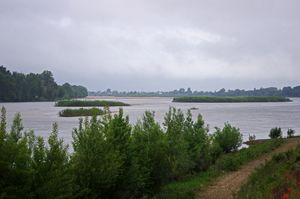 Photographie de la Loire à La Ménitré.