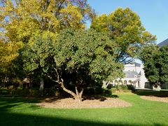 Jardin des Beaux-Arts
