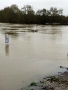 Chateauneuf 20260215 10.jpg