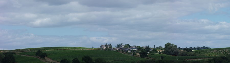 Photographie du hameau de Chaume à Rochefort-sur-Loire.