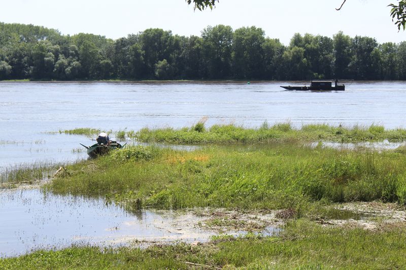 Fichier:La possonnière bords de loire 2021-9391.JPG