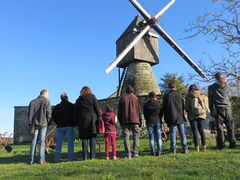Participants