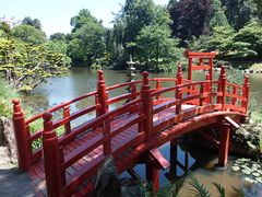 Maulevrier parc oriental -2015o.JPG