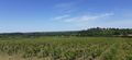 Pic martin rochefort r20-32.jpg