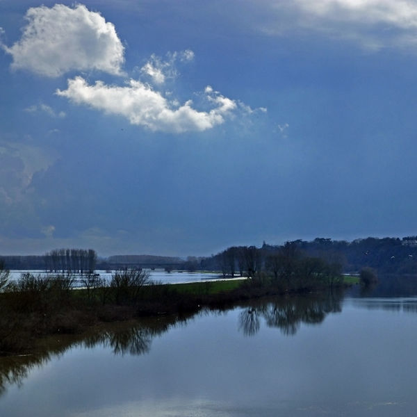 Fichier:Pruniers maine - 2013a.jpg