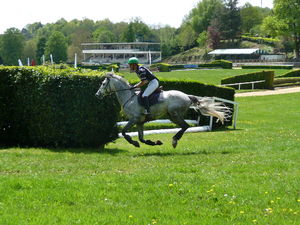 Photographie du cavalier (équitation).