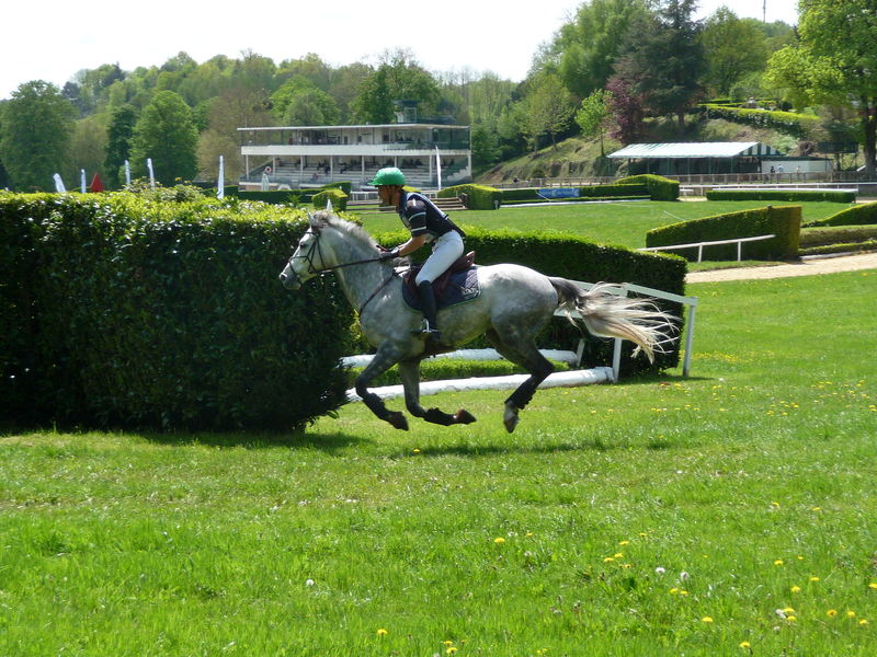 Fichier:Touzaint nicolas 2009a.jpg